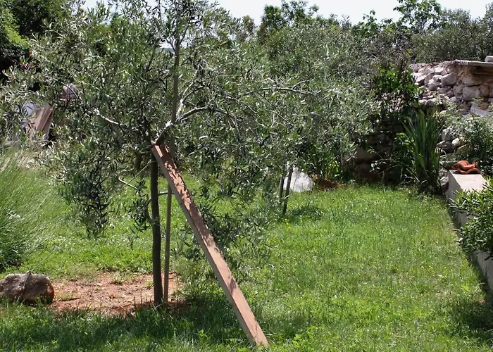 10421c דירה